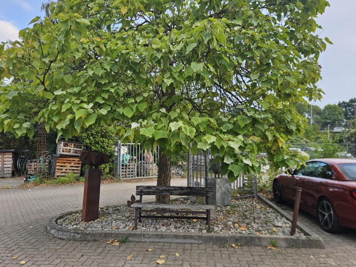 Objekt: Loft Etage im Langer Garten, zentrumsnah und ruhig